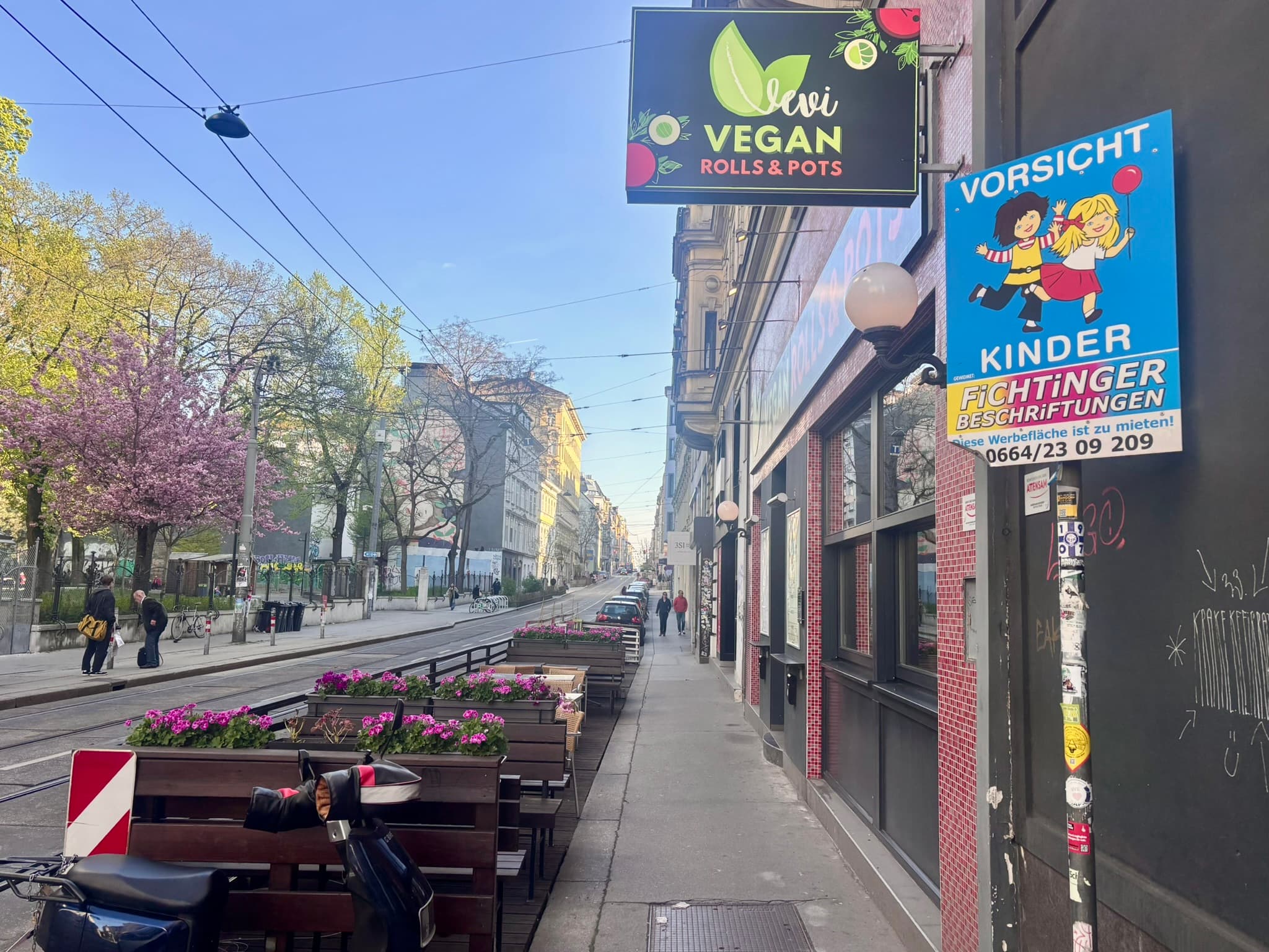 Vevi Vegan Rolls & Pots image