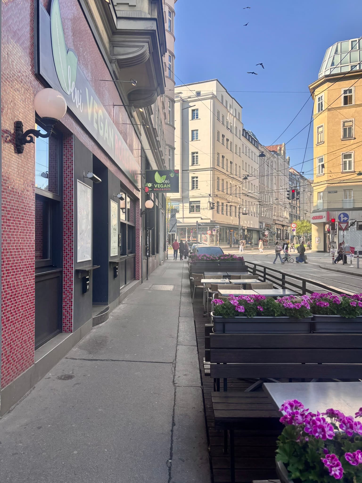 Vevi Vegan Rolls & Pots image